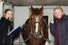 Kuva Iiris Pääkkönen