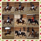 Kuvia Orisuorasta (2014)